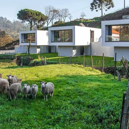 Viana Do Castelo - Amonde Village Casa P - Conforto Qualidade Natureza 外观 照片