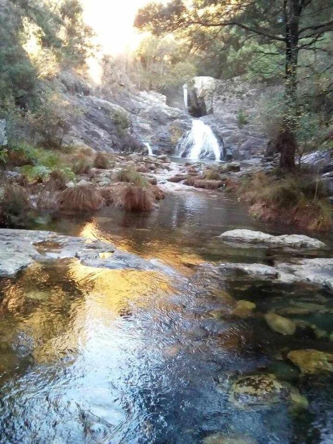 Viana Do Castelo - Amonde Village Casa P - Conforto Qualidade Natureza 外观 照片