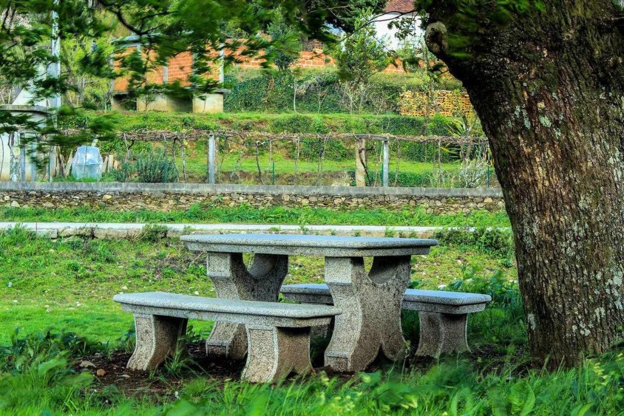 Viana Do Castelo - Amonde Village Casa P - Conforto Qualidade Natureza 外观 照片