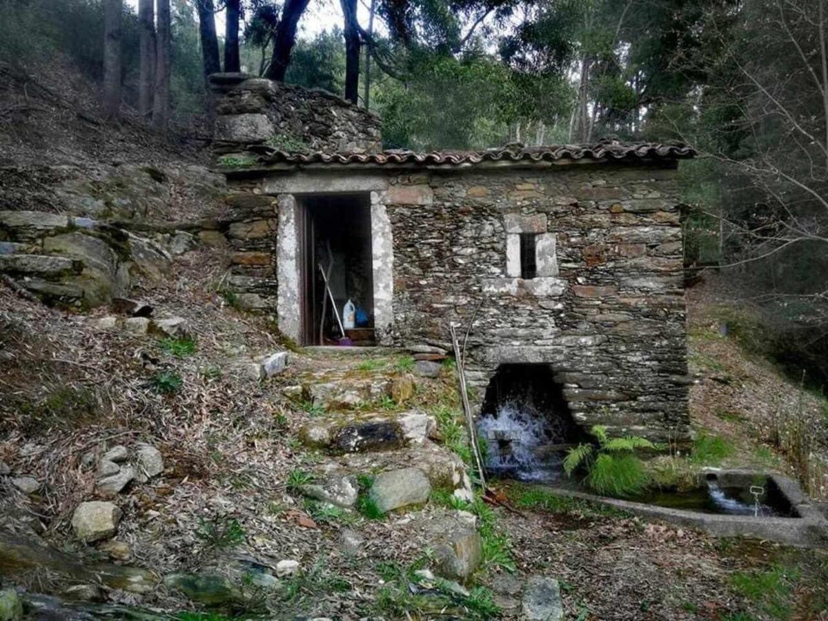 Viana Do Castelo - Amonde Village Casa P - Conforto Qualidade Natureza 外观 照片
